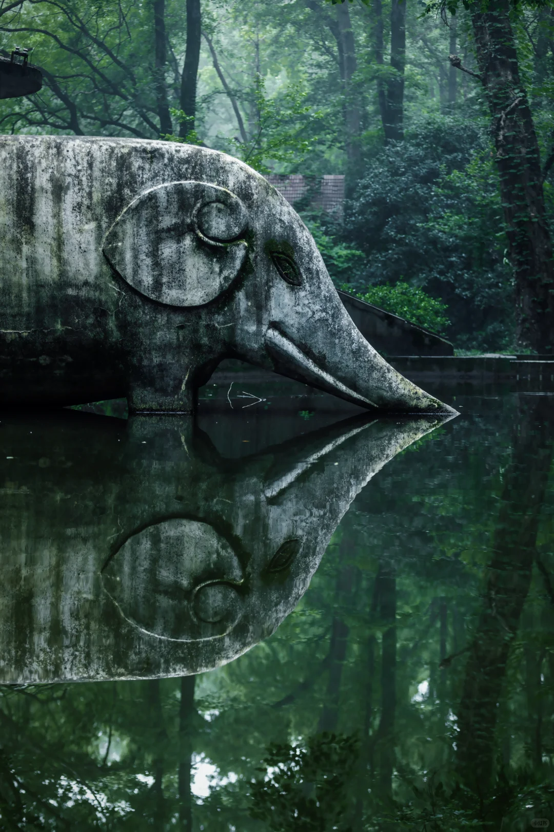 神秘感拉满❗南京本地人才知道的森林秘境