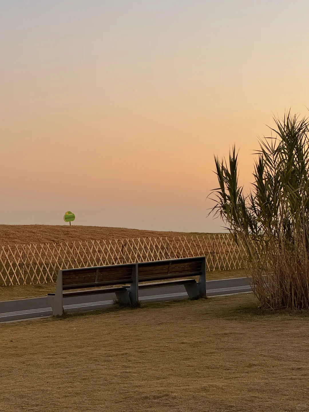 11月实况，淡季的青岛才是人间理想！！！！