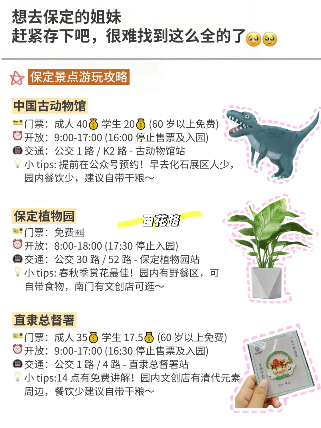 11月来保定旅游不看这篇攻略🥺真的会哭