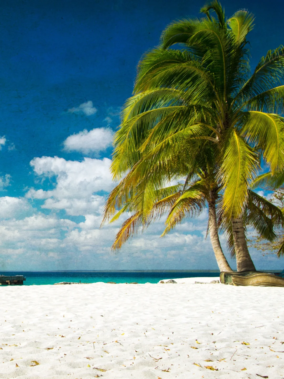 第一次去马来西亚亚庇,这13个景点超推荐!