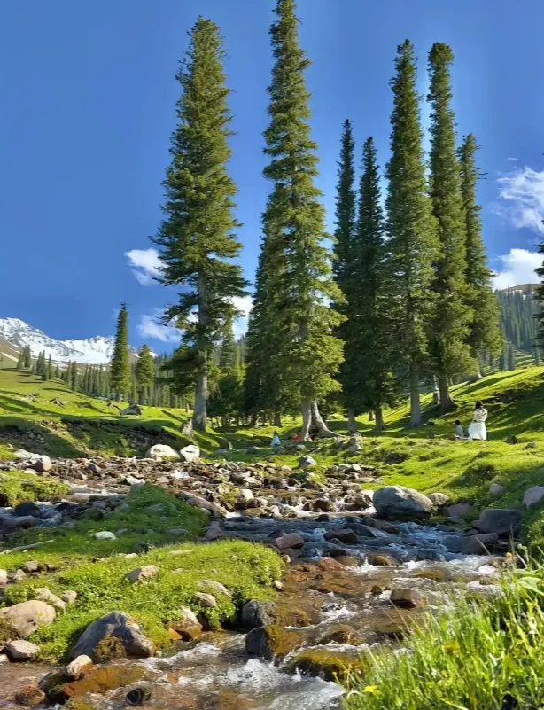 deepseek推荐国内最值得去的15个旅游地!