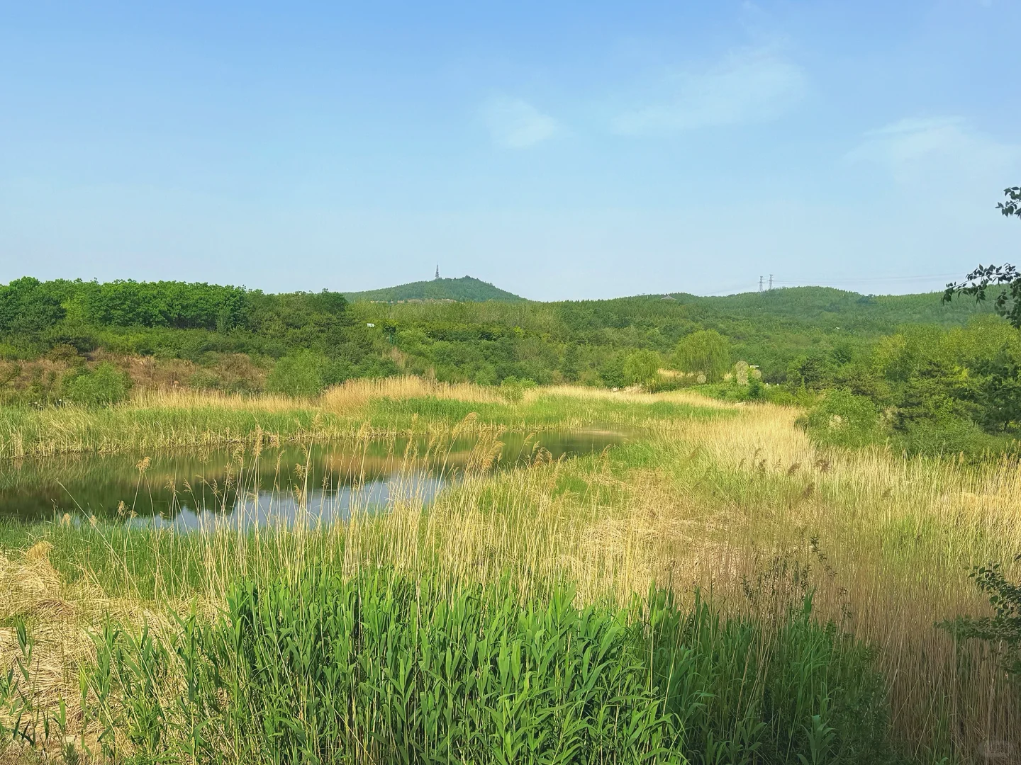 邯郸-九龙山矿质修复公园最适合运动的地方