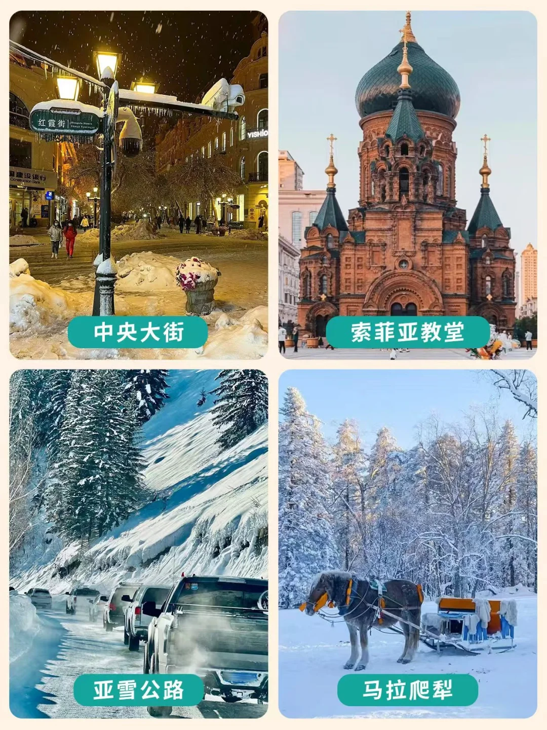 11-12月去东北旅游,这份懒人版攻略别❌错过