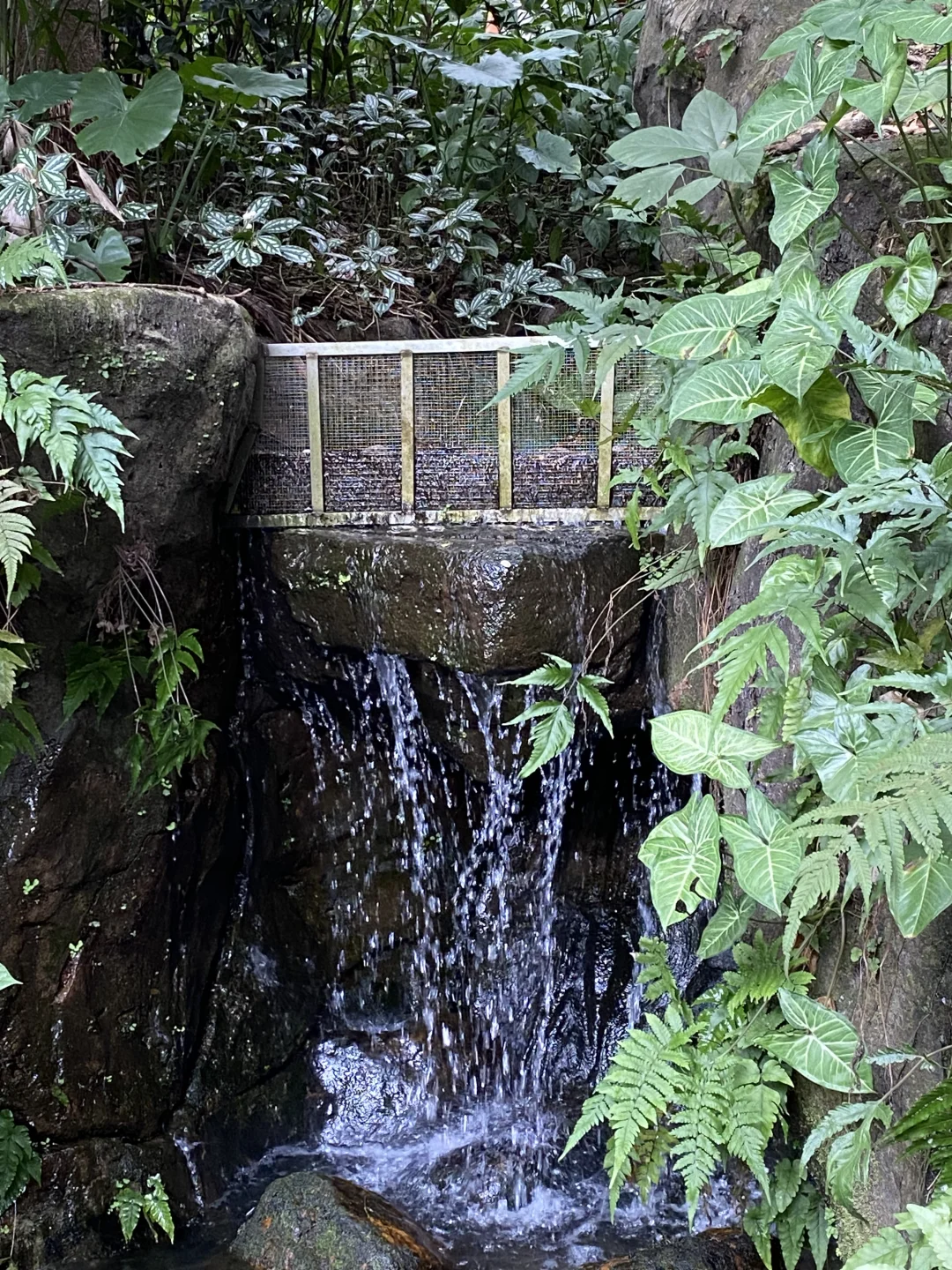 广州必玩之越秀公园超全攻略🎬