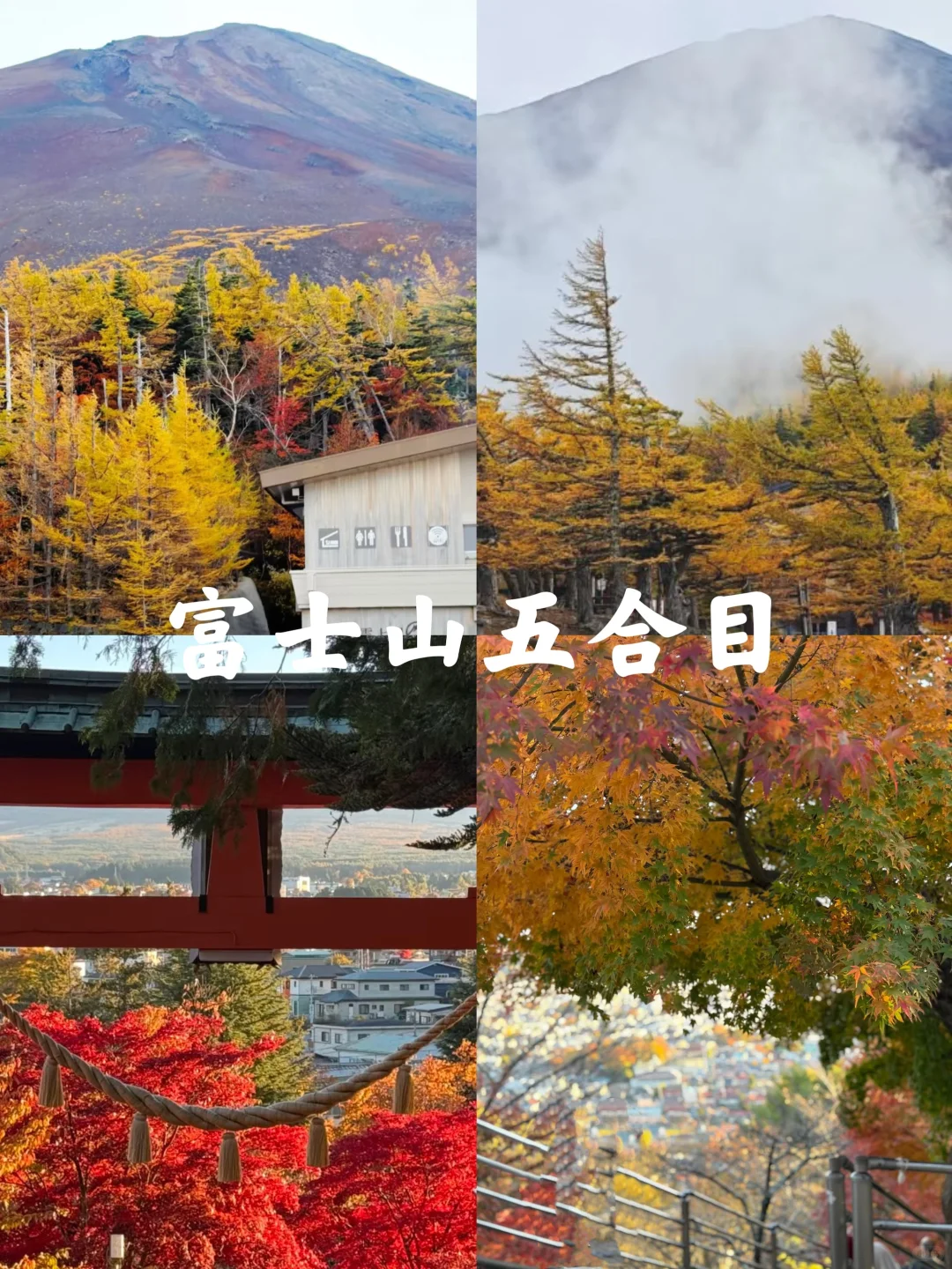 富士山|秋季十大必打卡景点