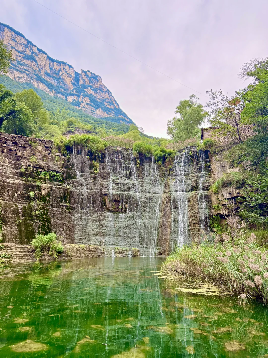 十一必打卡!邂逅金色秋天的最美色彩之旅!✨