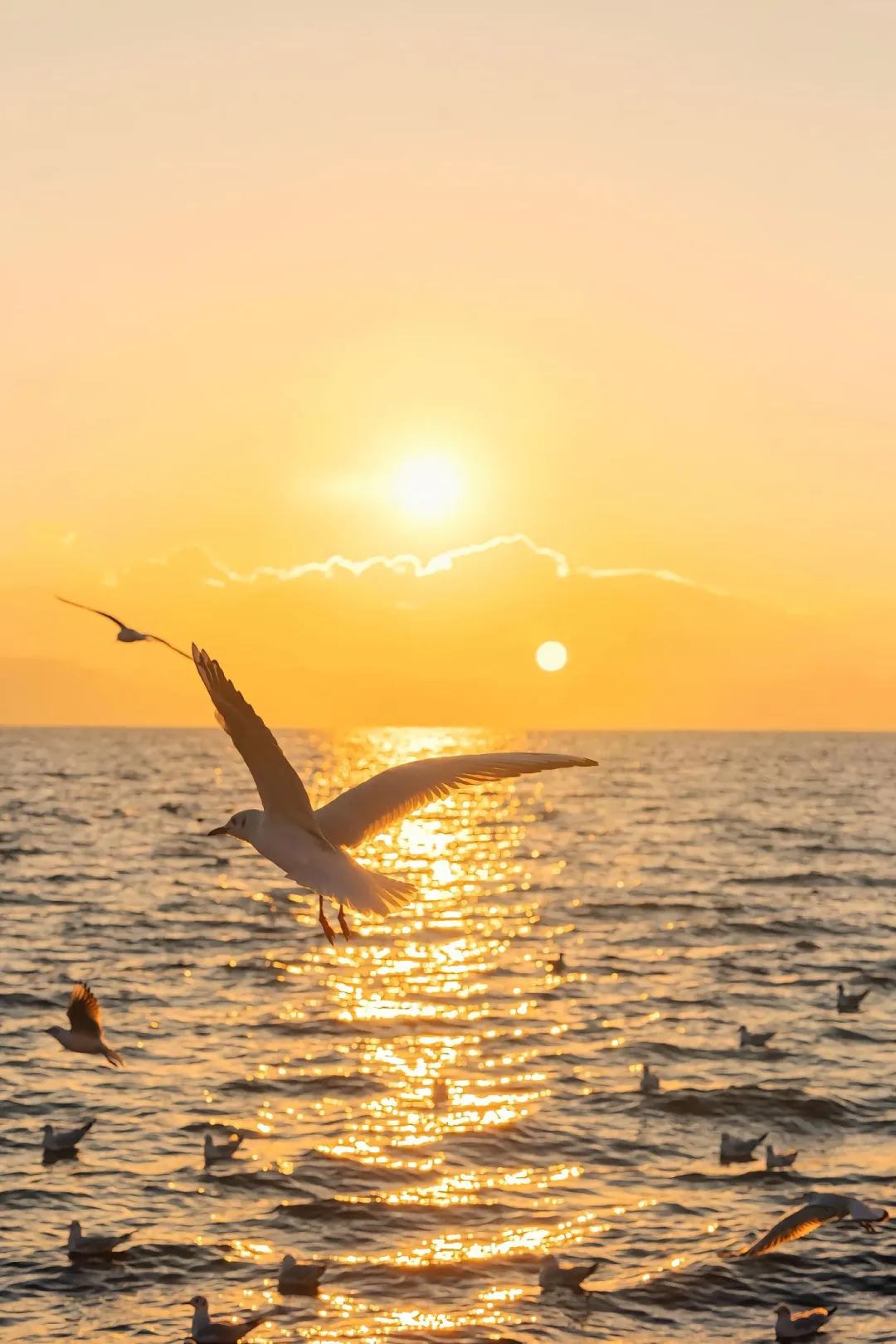 带父母来云南玩✅8天7晚探金秋🍂人均1k+