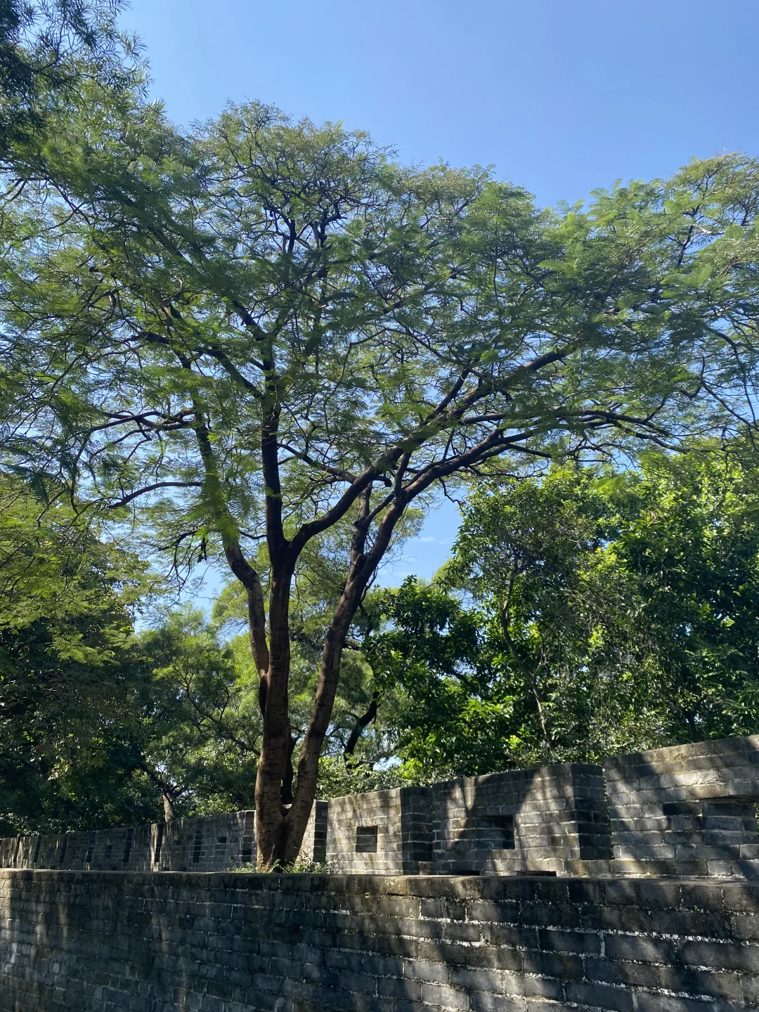 广州必玩之越秀公园超全攻略🎬