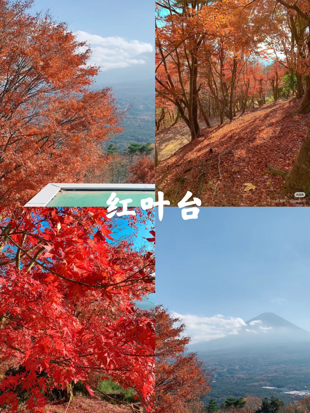 富士山|秋季十大必打卡景点