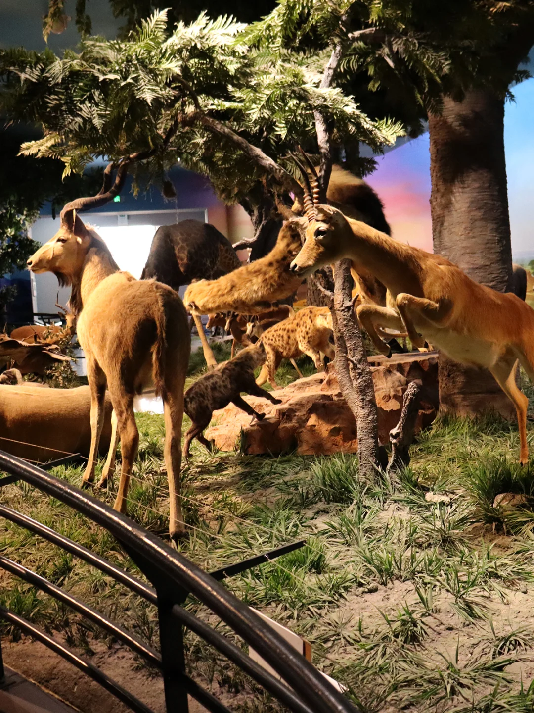 十一北京旅游攻略5天4晚 必去景点+避坑事项