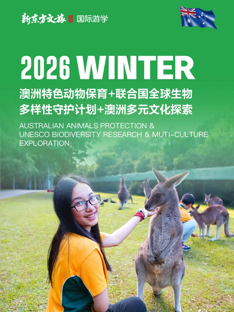 2026澳新游学清单🐨南半球反季节出行攻略