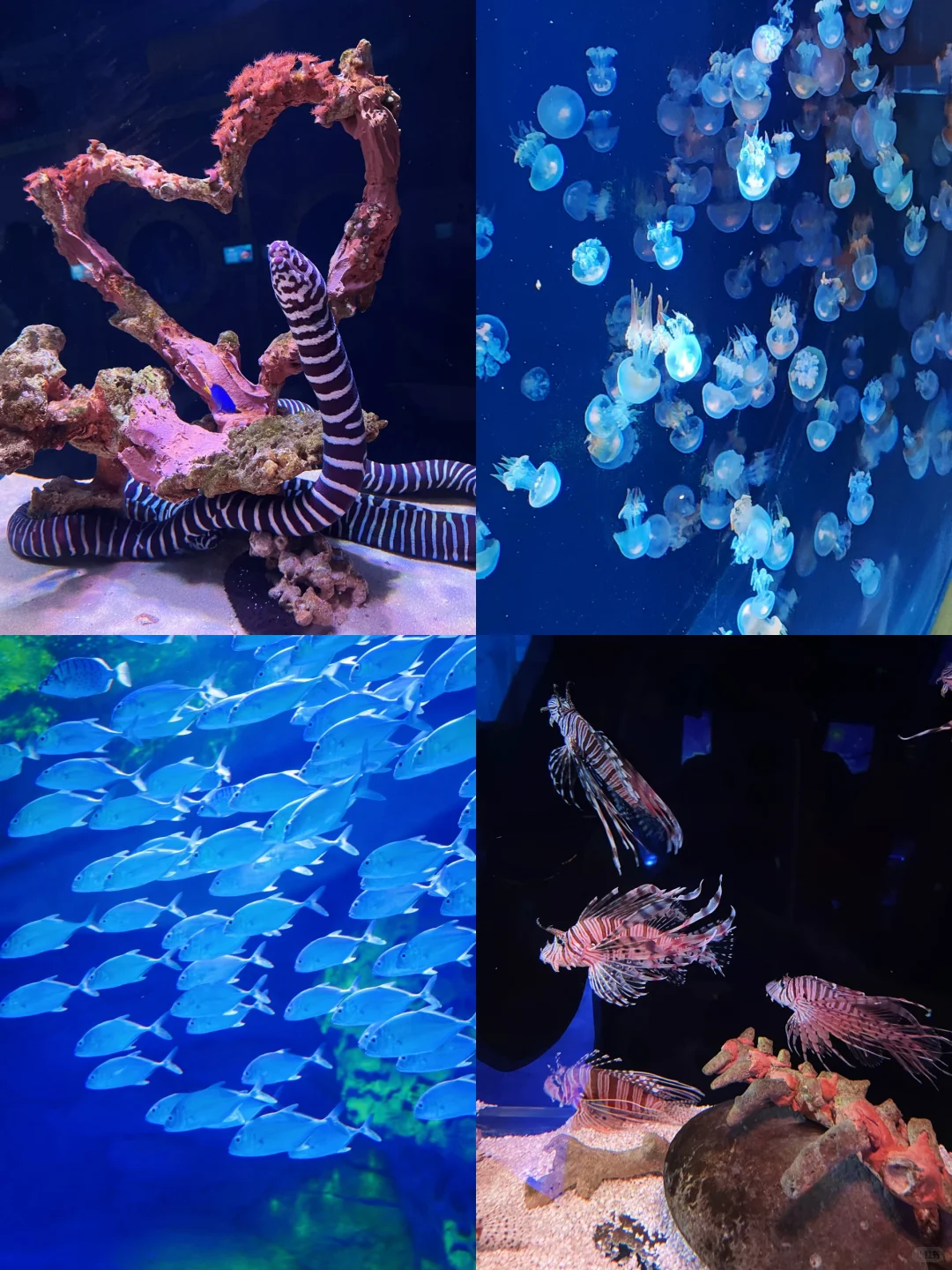 哈尔滨2天1夜不回头路线‼️懒人直接照抄👌🏻