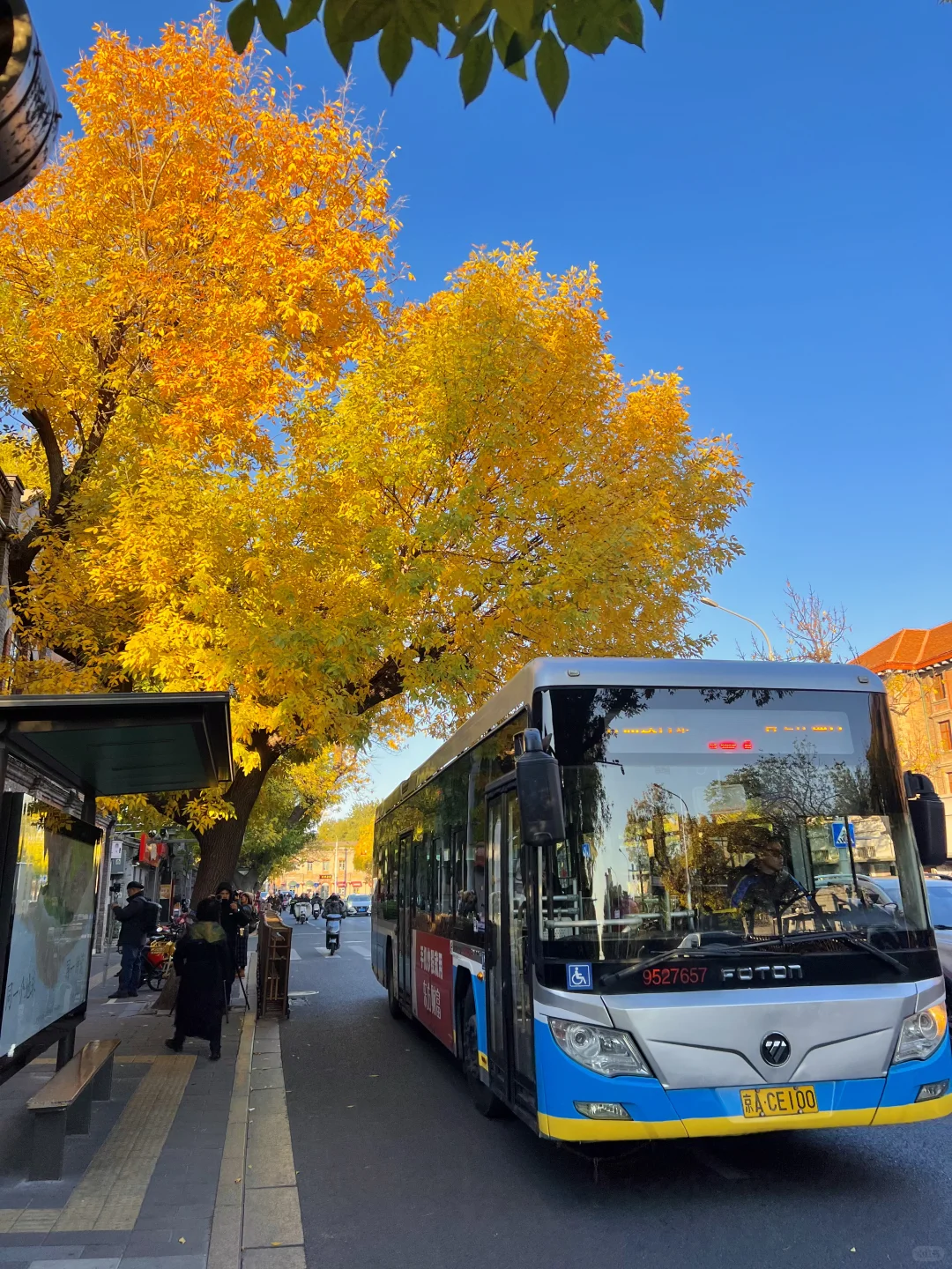 10.21live图｜北平的秋天，我替你看了‼️