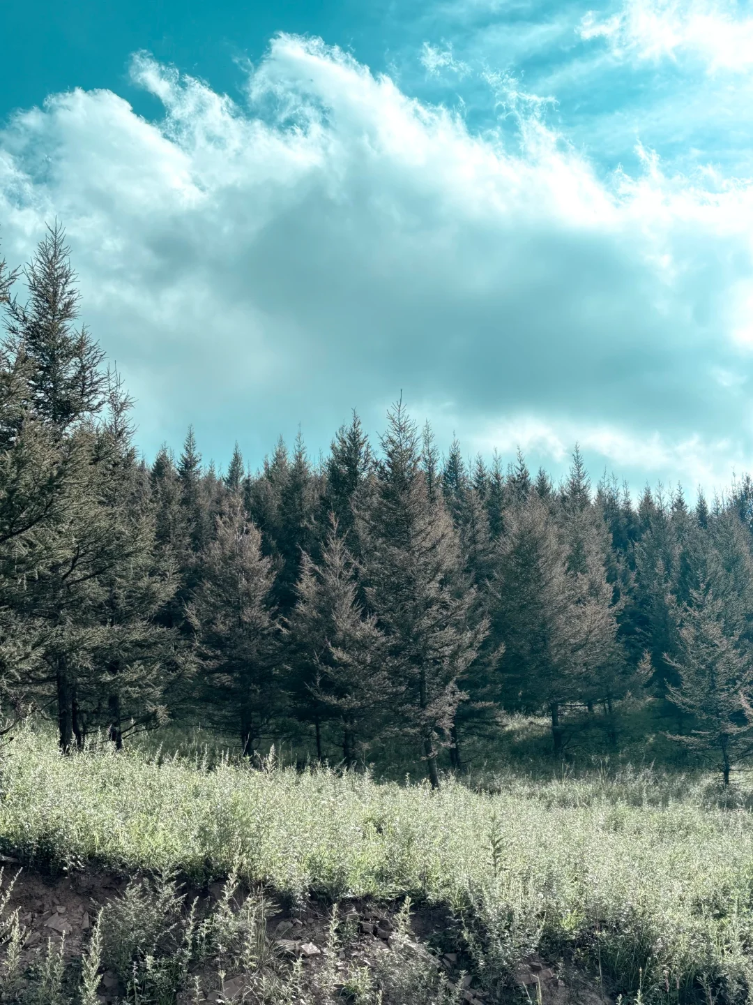 🥰河北阿勒泰|邯郸周边游|走马槽🚗