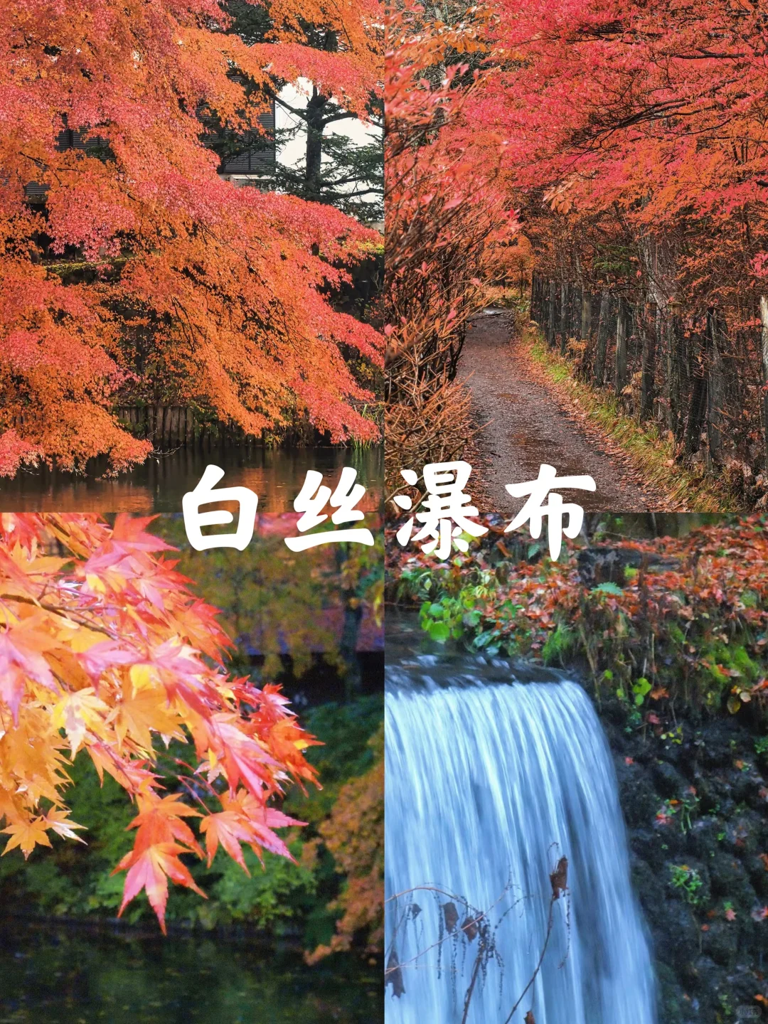 富士山|秋季十大必打卡景点