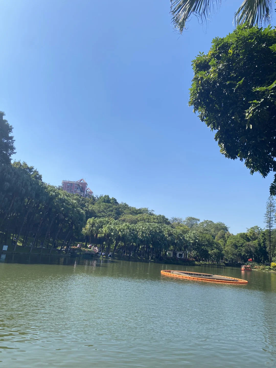 广州必玩之越秀公园超全攻略🎬