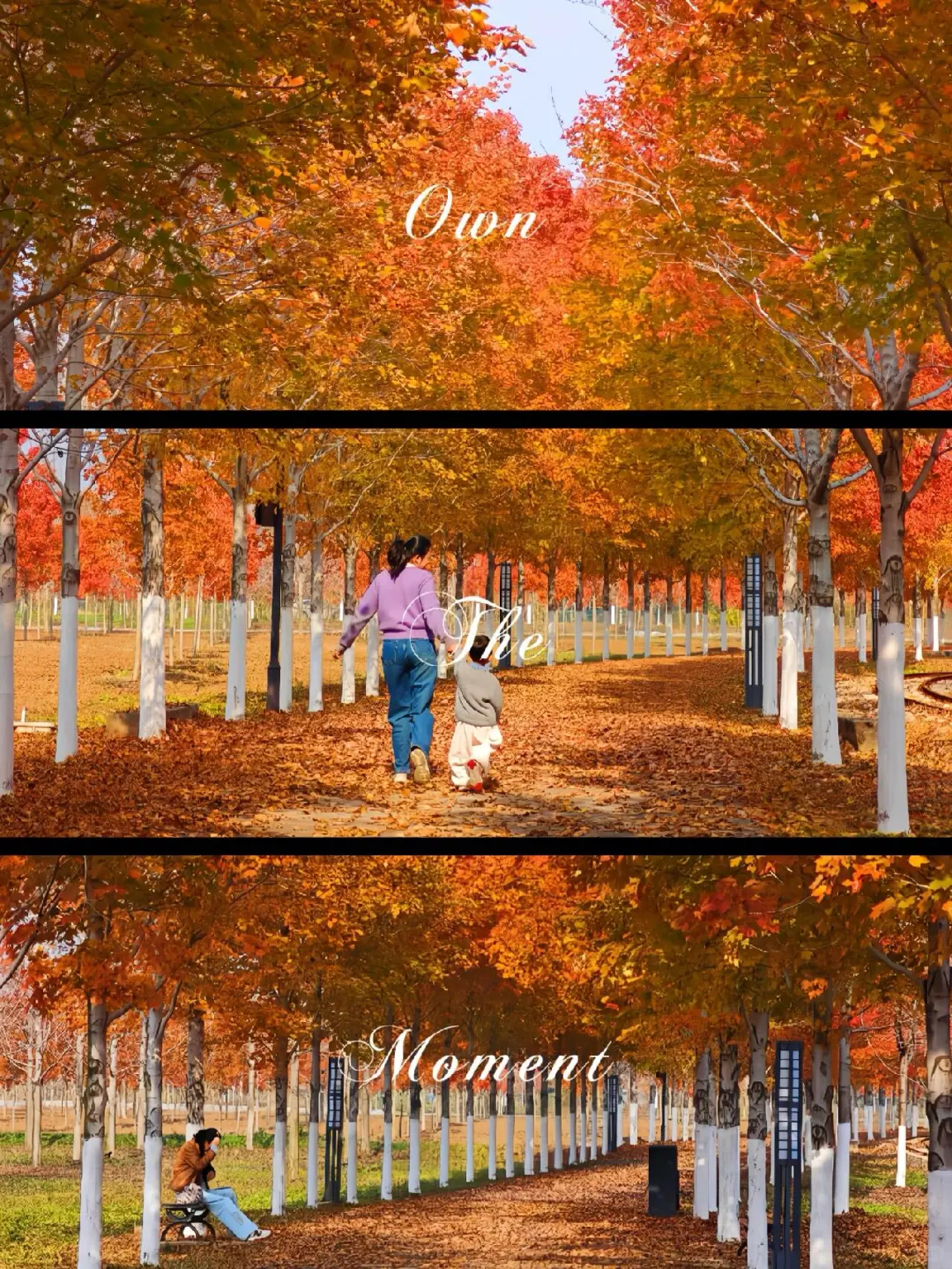 徐州秋天必来的公园坐火车赏枫、露营美翻了