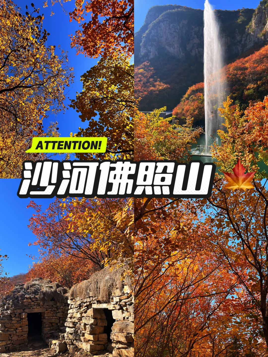 秋天一定要去沙河佛照山!!!🍁