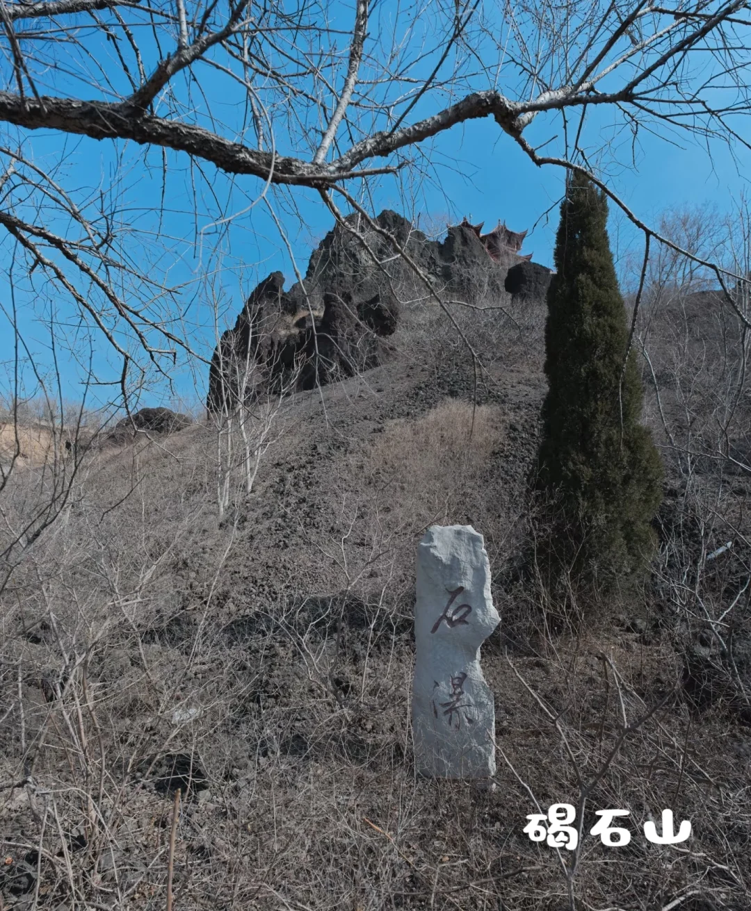 走遍全国333个地级市(第三站)滨州