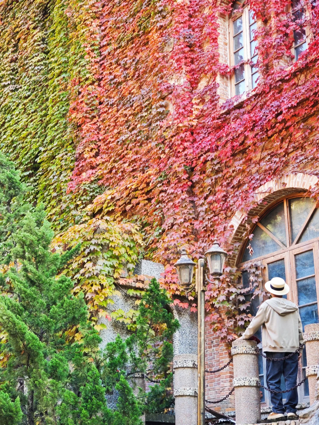 11.5实况❗天津古堡迎来了浪漫💞的时刻~