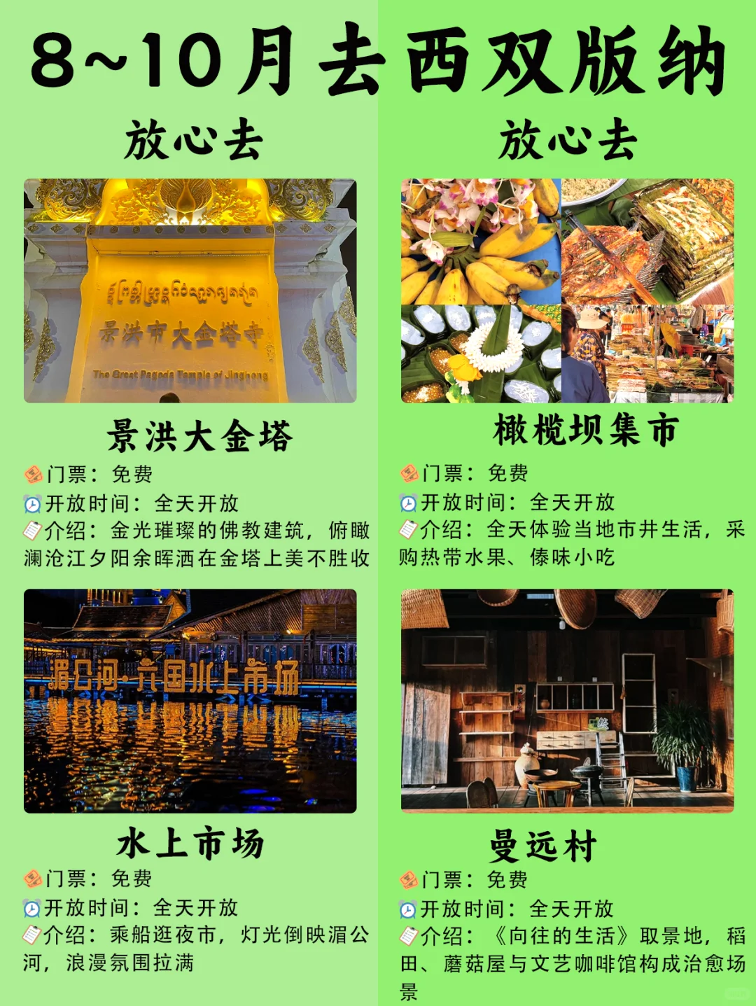 🌴8~10月版纳bi打卡景点🔥热带风情拉满