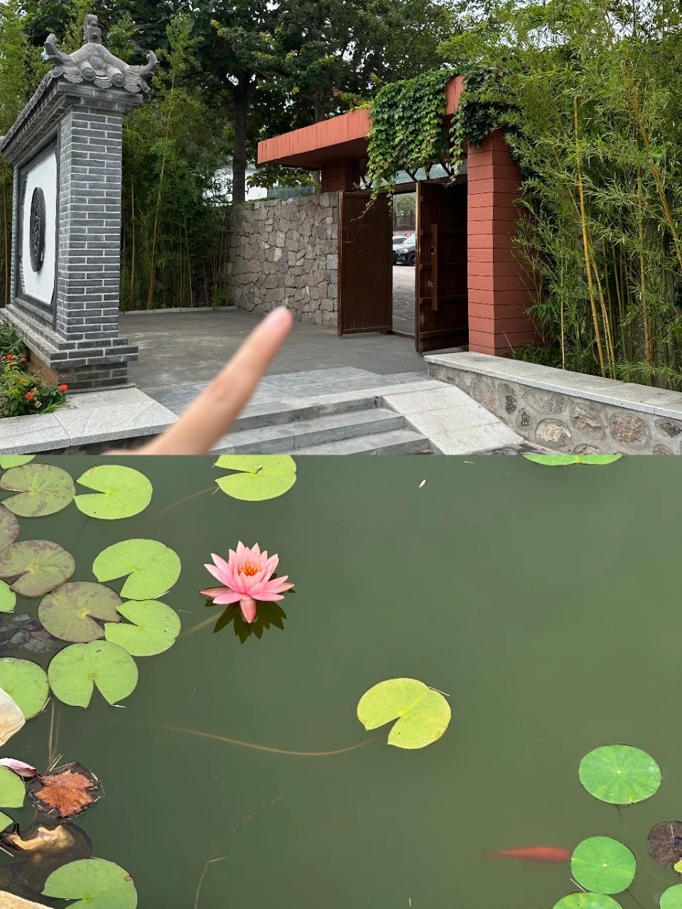 带娃逛响堂山!省心攻略大公开👶