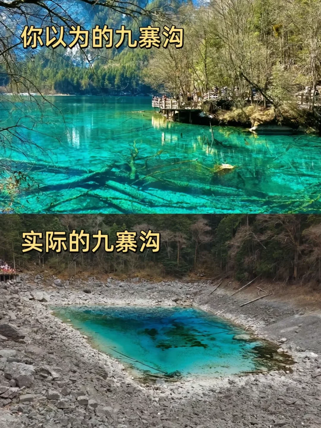 6.3📍九寨沟已回…一篇讲清楚九寨沟怎么避坑