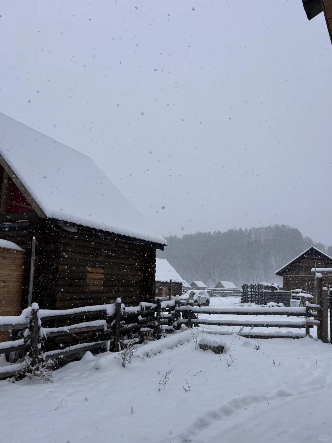今年冲禾木喀纳斯，选对团直接赢麻！