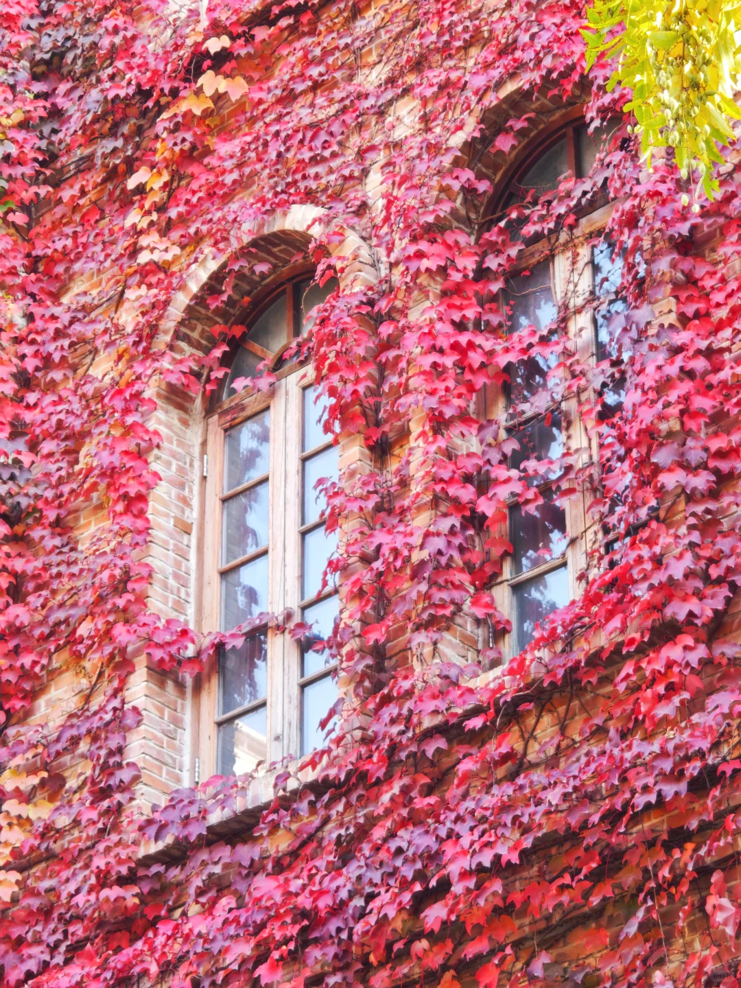 11.5实况❗天津古堡迎来了浪漫💞的时刻~