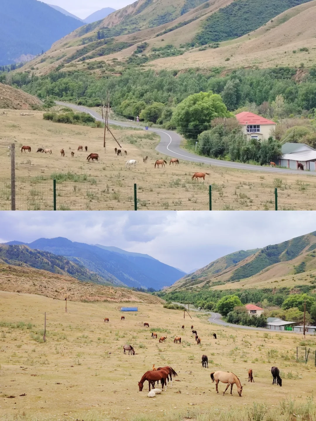 国内赚钱国外花💰中亚“小瑞士”不虚此行