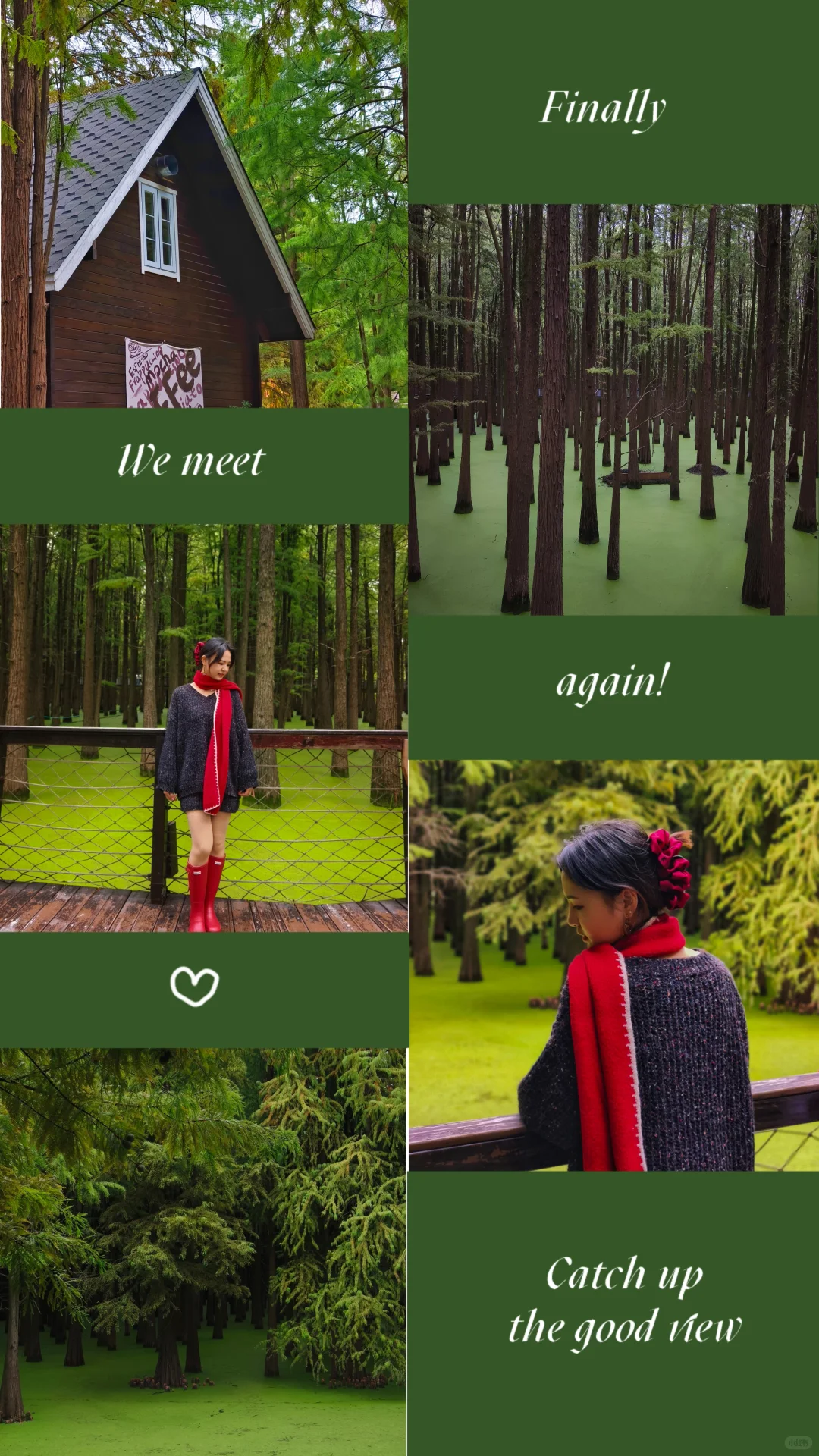 杭州‖水中森林,小仙女们必打卡