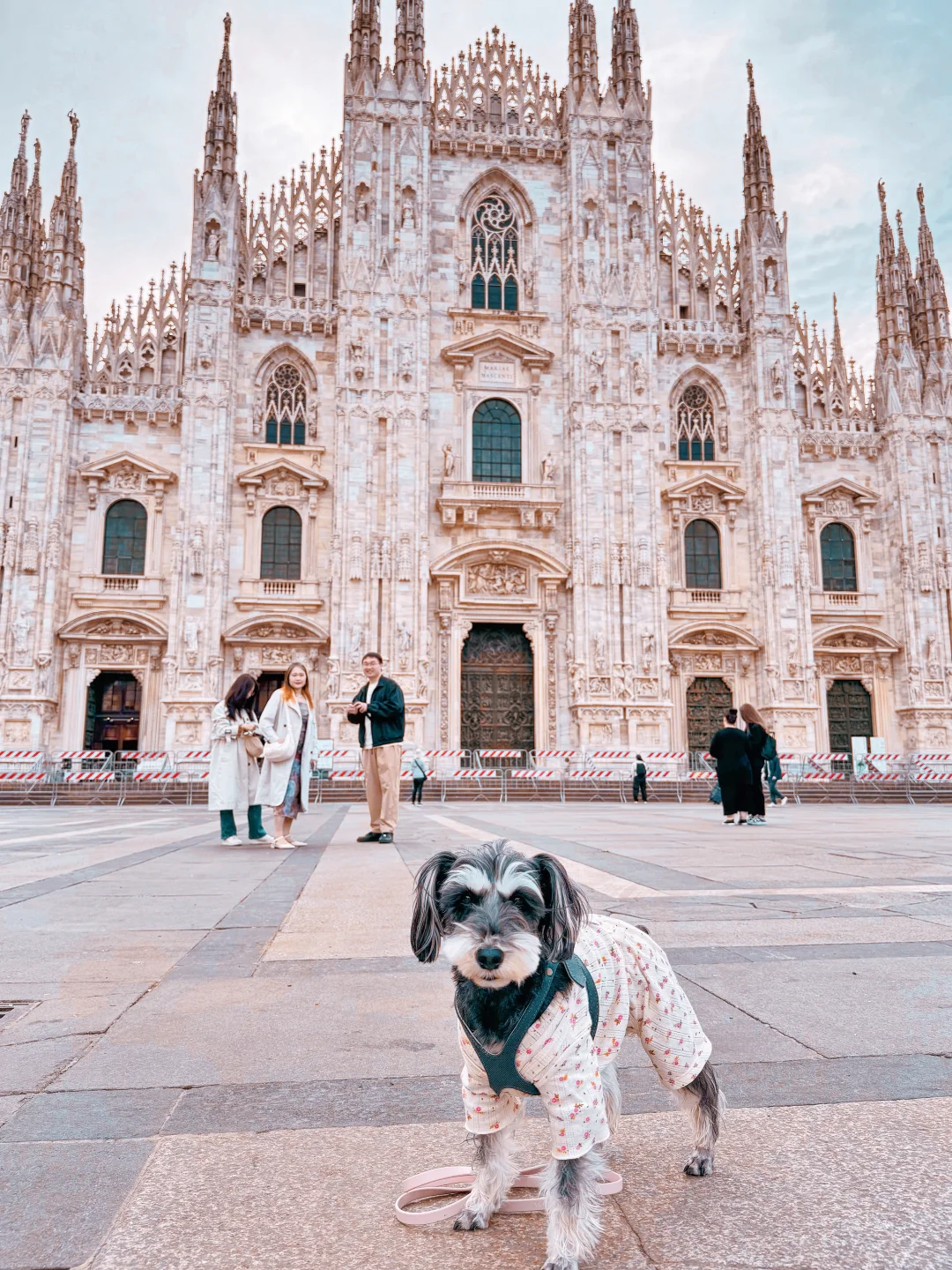 “意大利!小狗我从中国来旅游原来这么容易!”