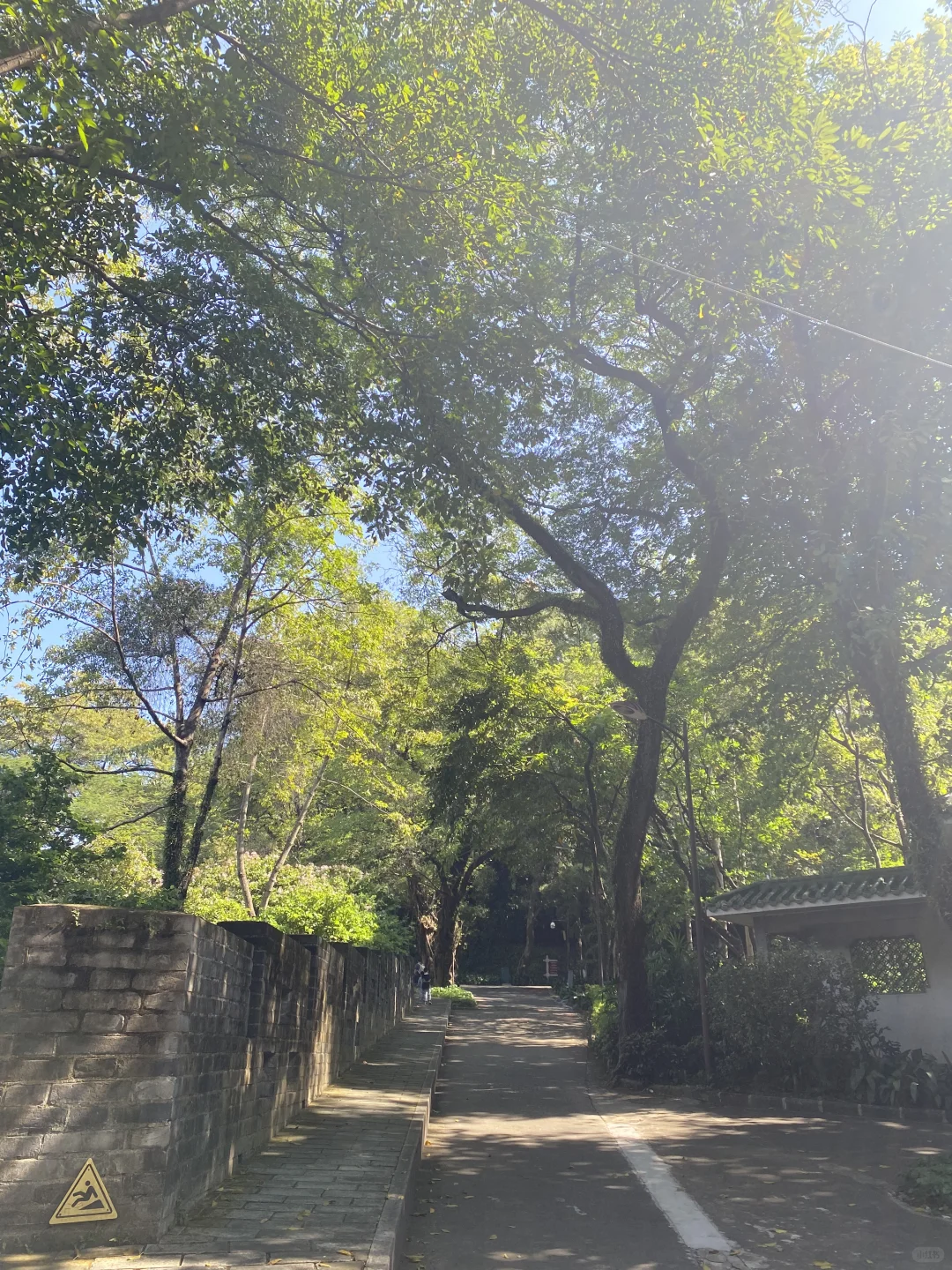 广州必玩之越秀公园超全攻略🎬