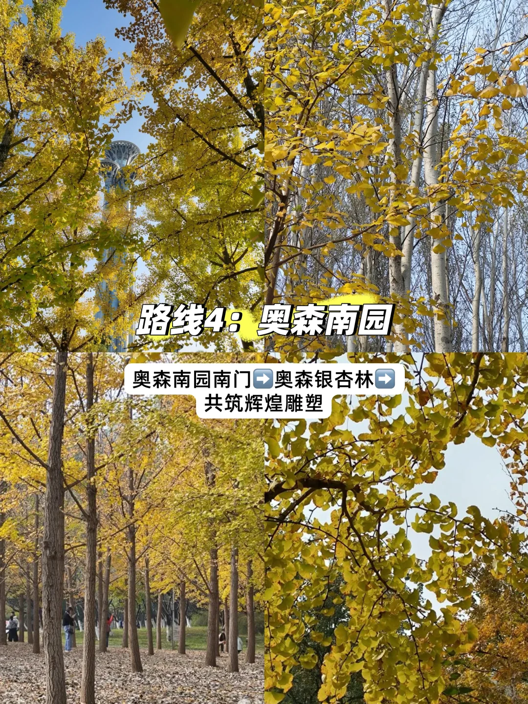 11月初北京必逛的citywalk和赏秋路线❗️❗️