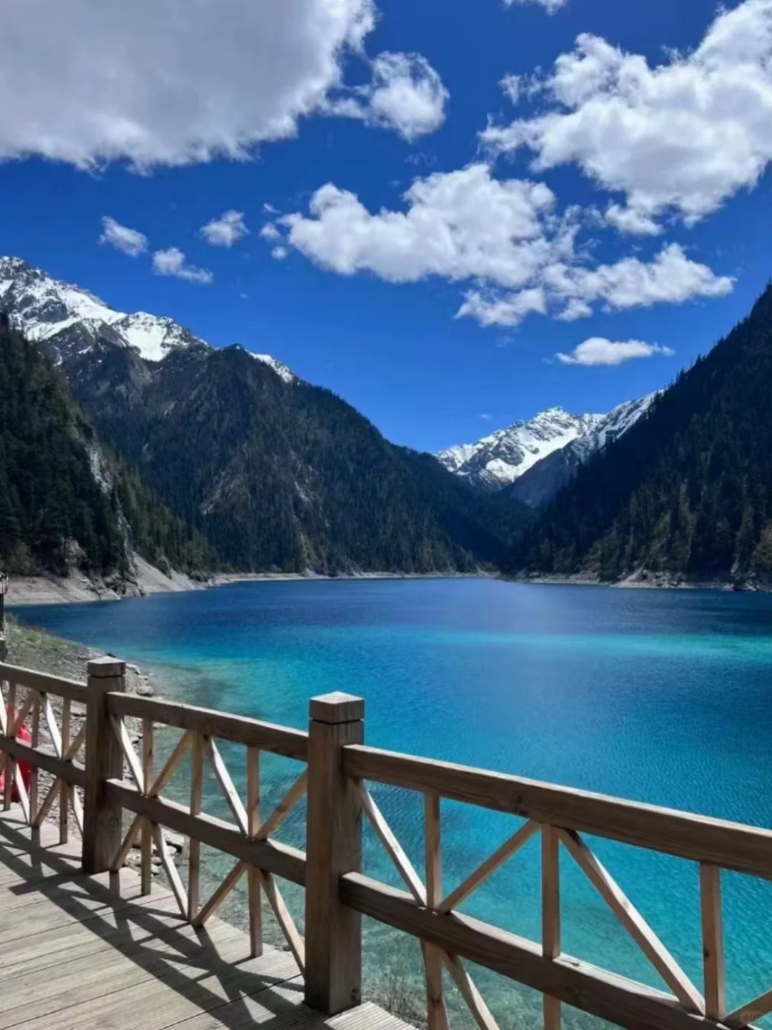 6.3📍九寨沟已回…一篇讲清楚九寨沟怎么避坑