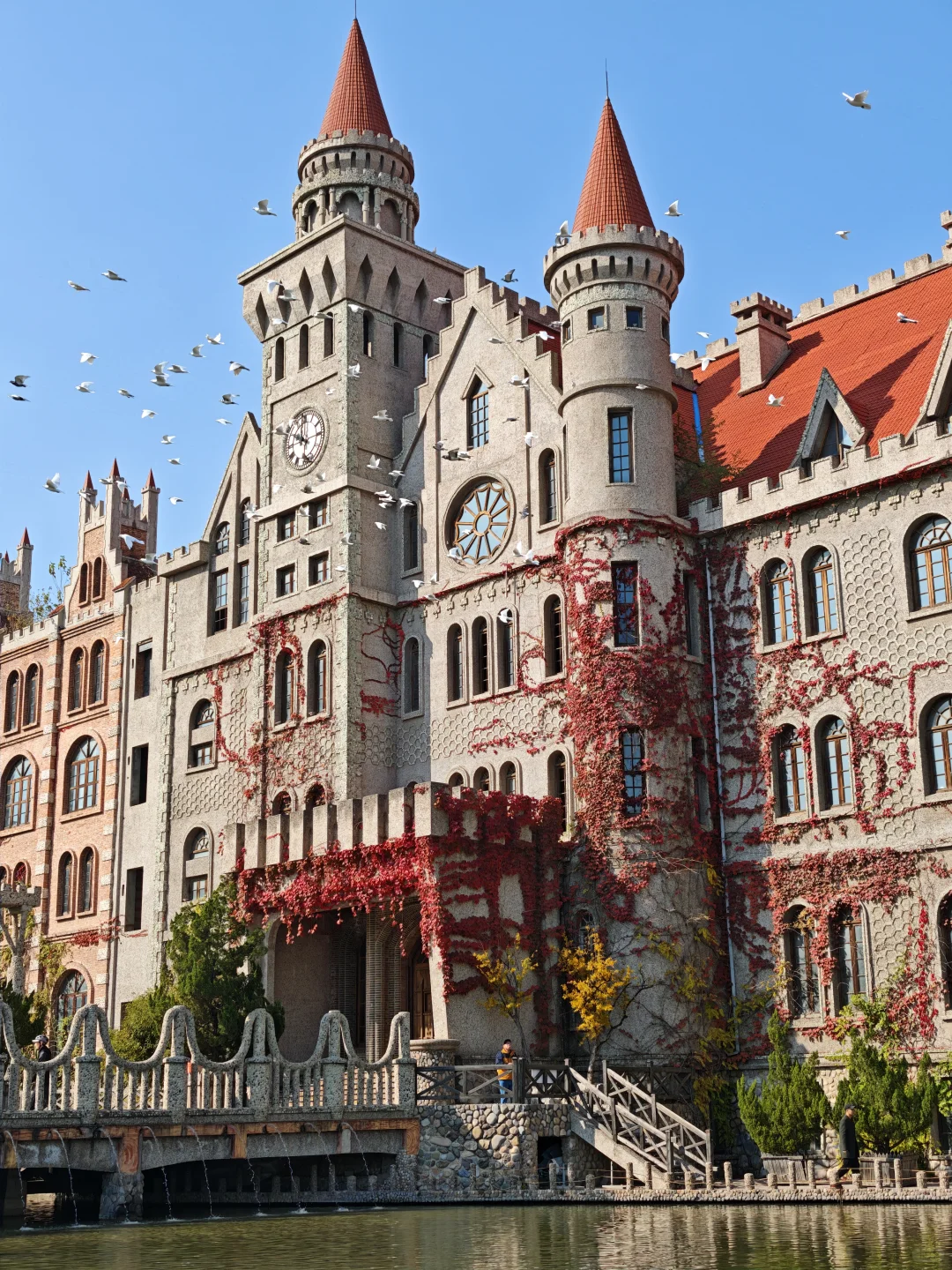 11.5实况❗天津古堡迎来了浪漫💞的时刻~