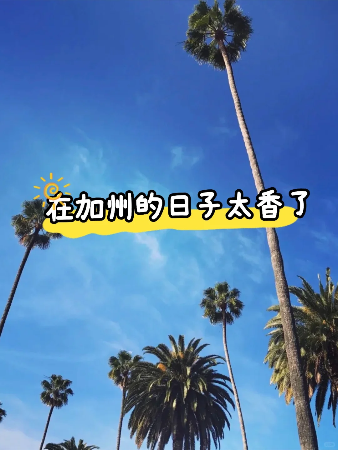 35岁全家在加州,幸福到不敢发朋友圈