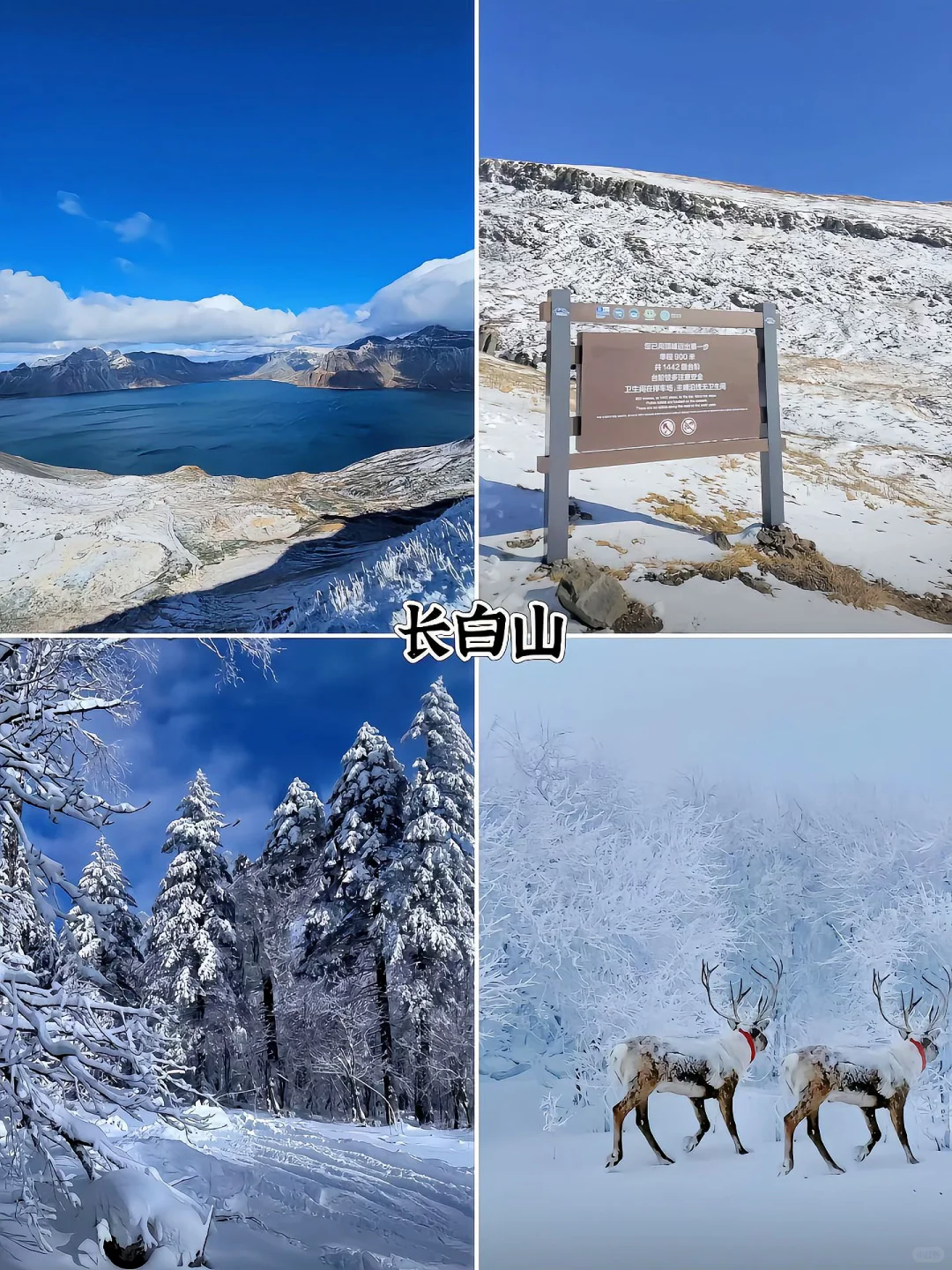 去哈尔滨必打卡的九大景点