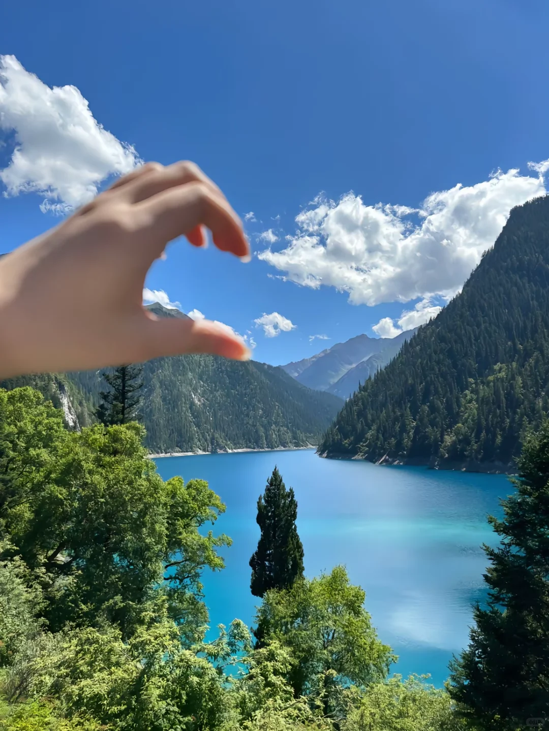 6.3📍九寨沟已回…一篇讲清楚九寨沟怎么避坑