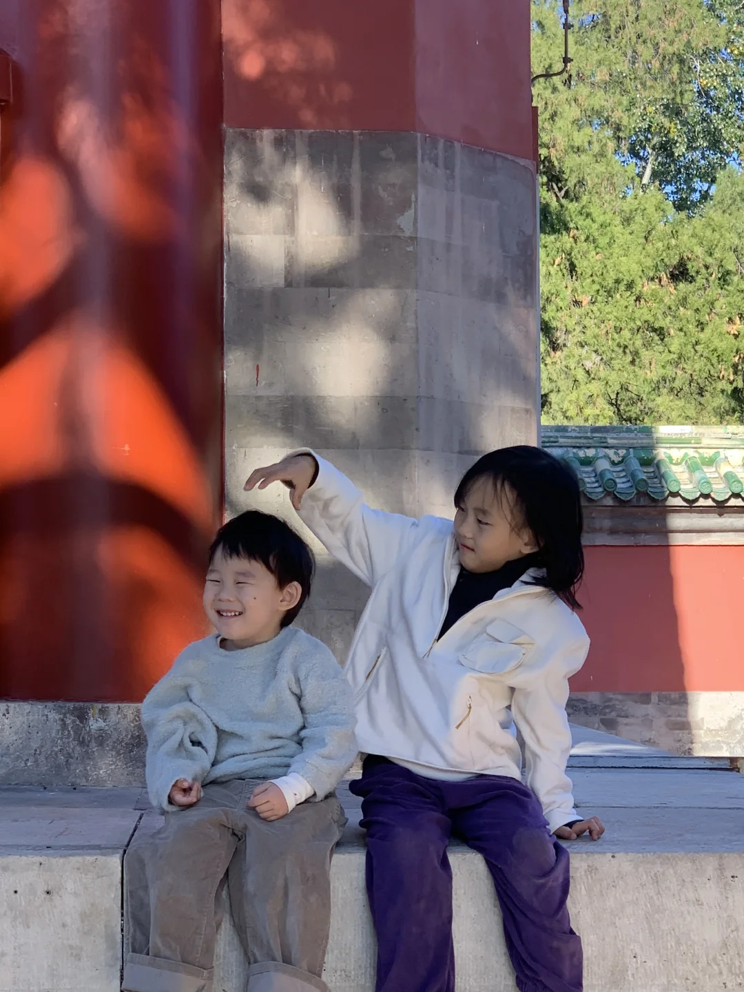 天坛的古松林，漫溢的秋意与松影