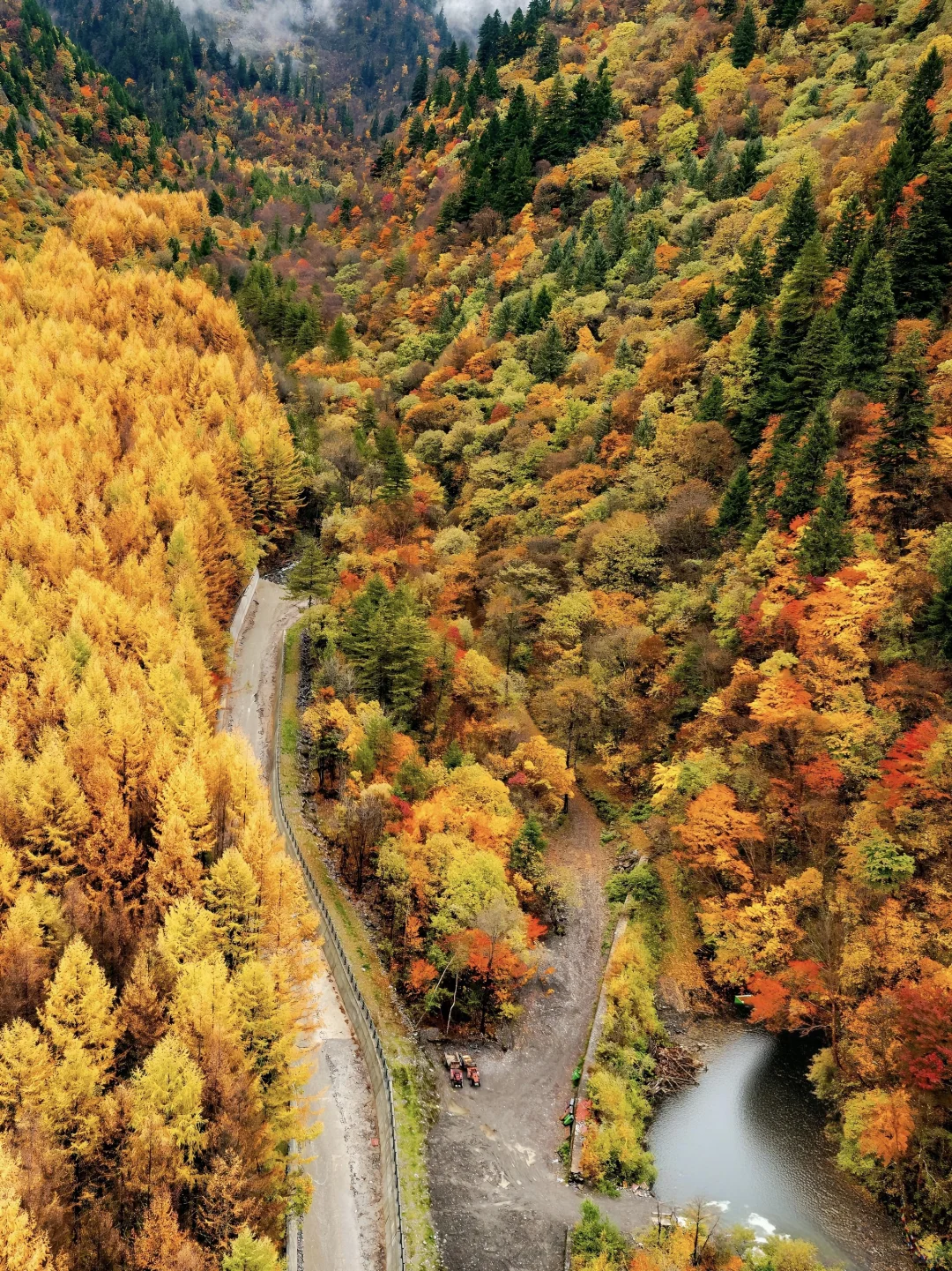 比九寨沟丰满20倍，这里的彩林是亚洲之蕞