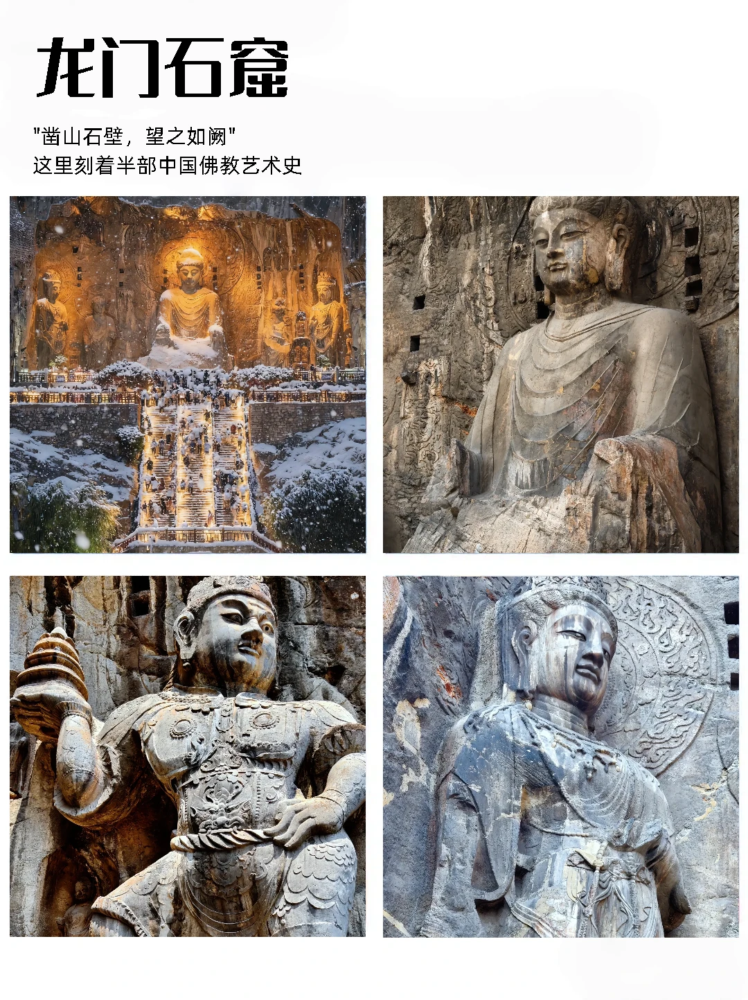 新疆享｜洛阳36家景区惠玩+开封宋韵深度游