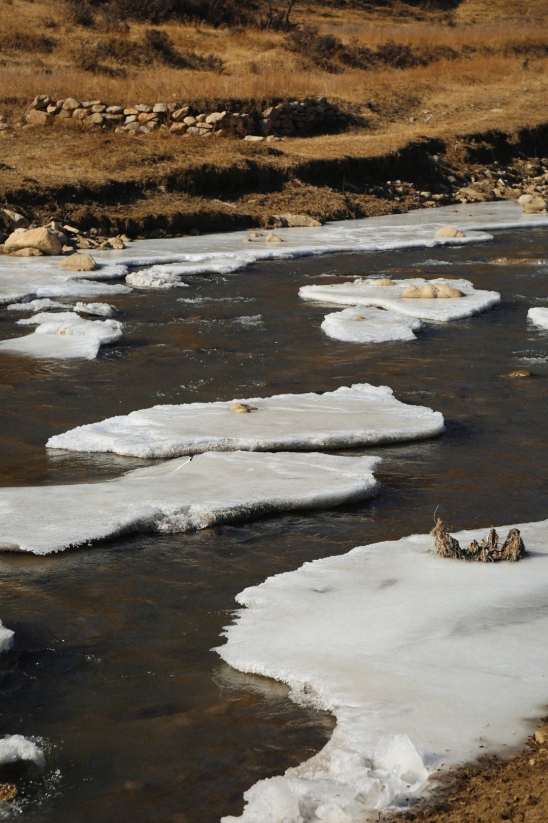 #内蒙古呼和浩特📍看雪玩雪实图攻略