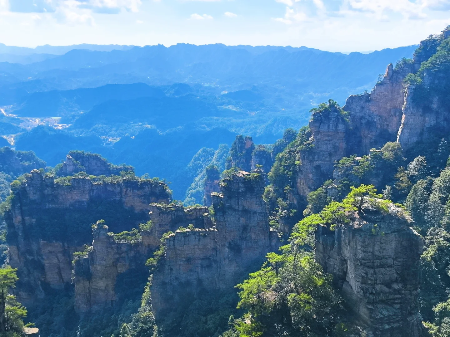 📍𝒛𝒉𝒂𝒏𝒈 𝒋𝒊𝒂 𝒋𝒊𝒆 ᨏ҉ᨏ ོ