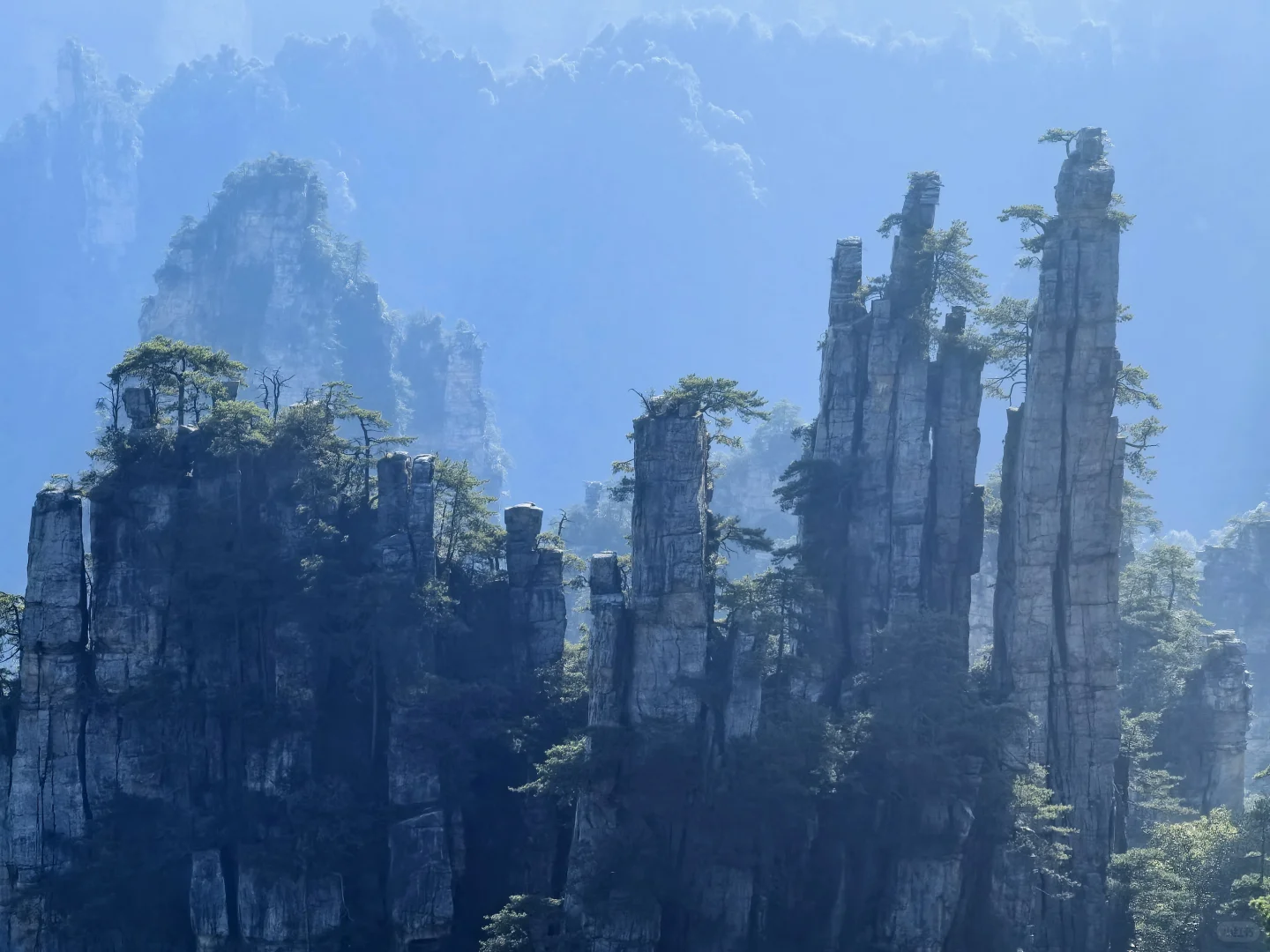 📍𝒛𝒉𝒂𝒏𝒈 𝒋𝒊𝒂 𝒋𝒊𝒆 ᨏ҉ᨏ ོ