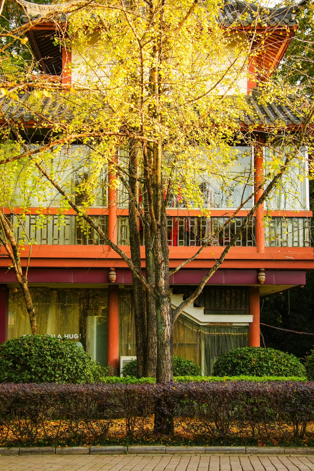 可以错过门票贵的景点，但别错过免费植物园