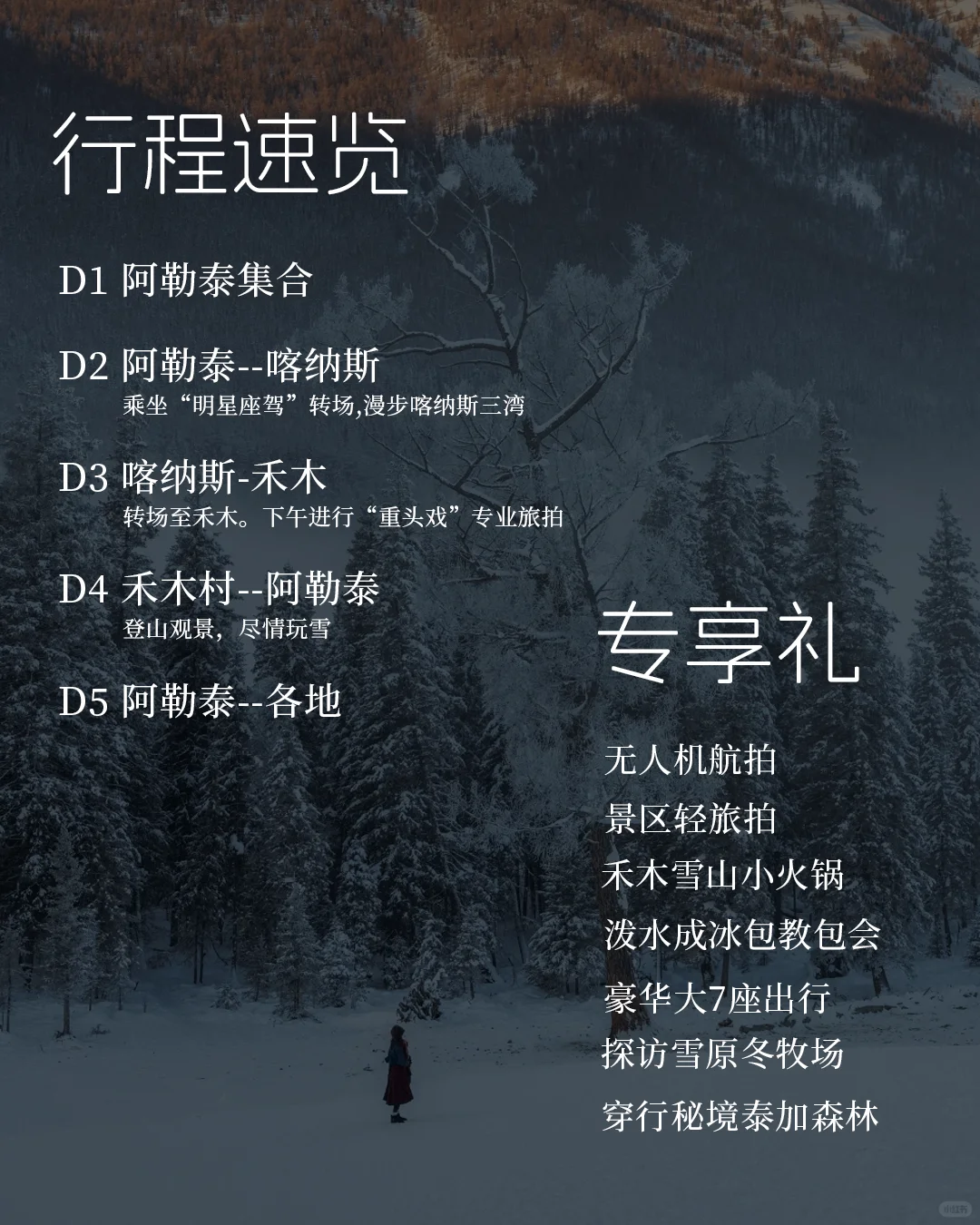 双十一来袭❄️新疆玩雪单人特惠价2K+💰