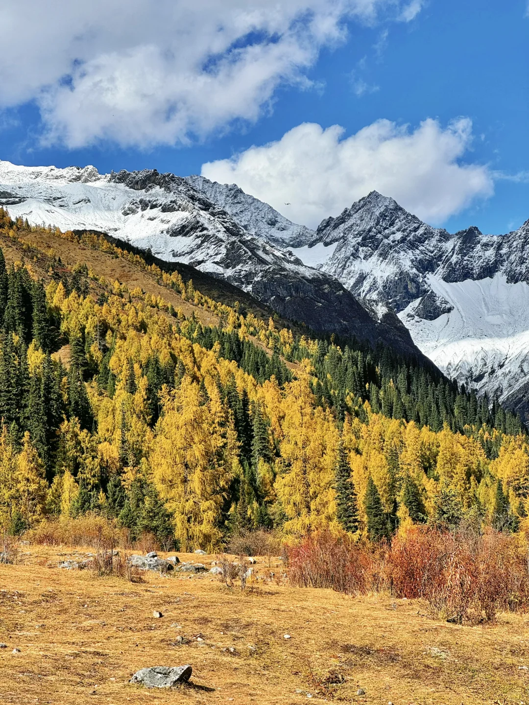 实拍live!此刻的川西简直就是人间理想🍂