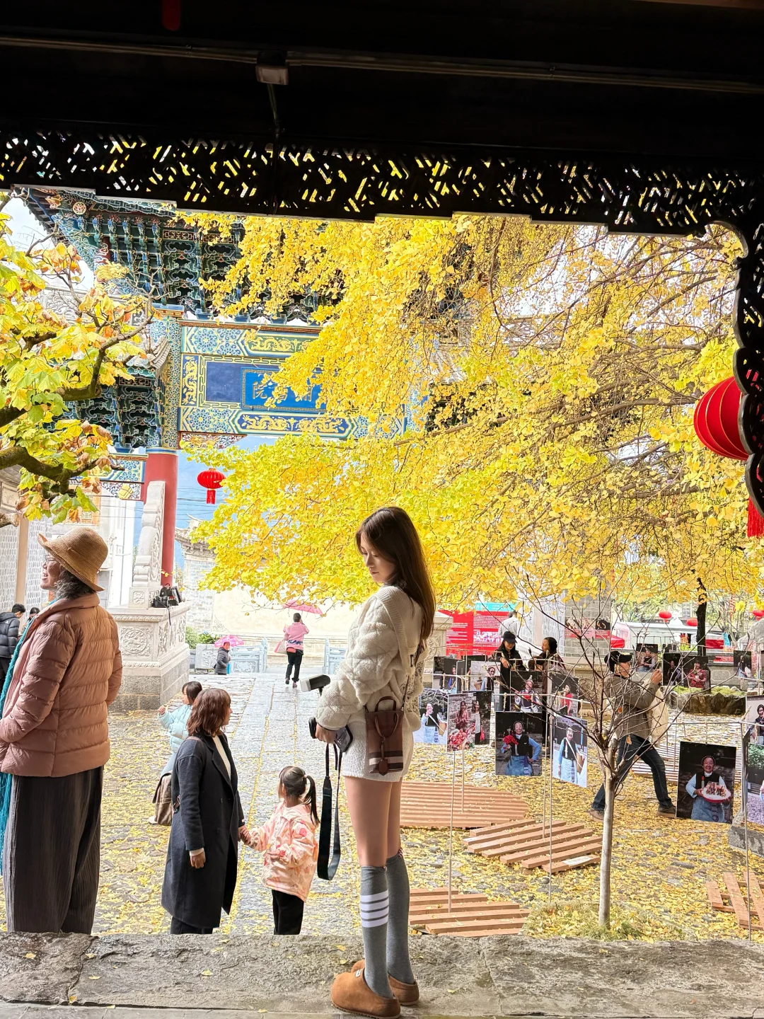 🍁在大理银杏小众景点我拍到了“北平的秋”✨