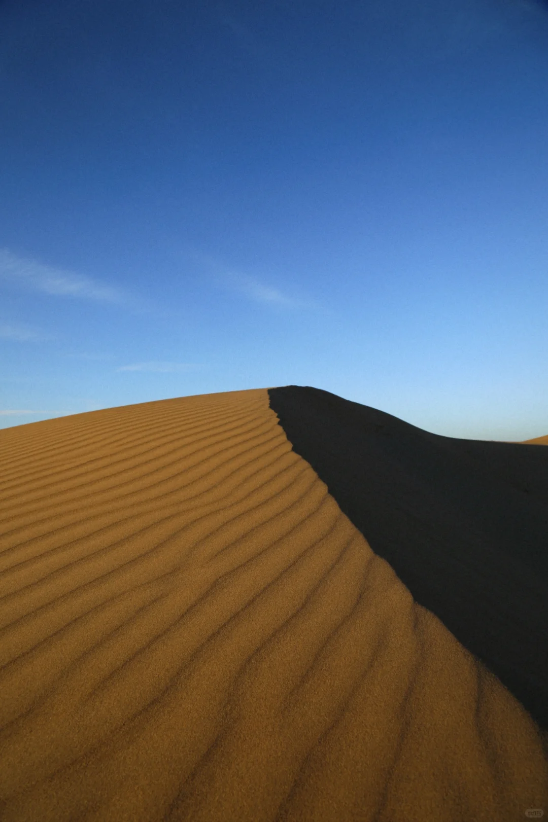 #内蒙古呼和浩特📍看雪玩雪实图攻略